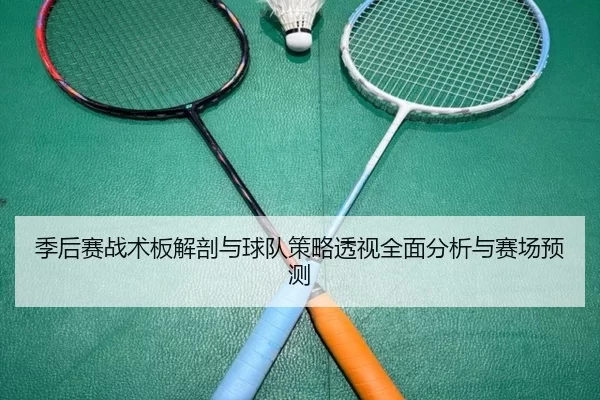 季后赛战术板解剖与球队策略透视全面分析与赛场预测